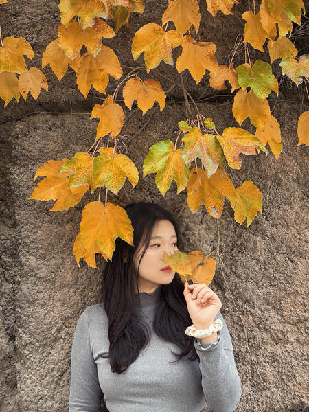 千兆吉太BDOH的主图